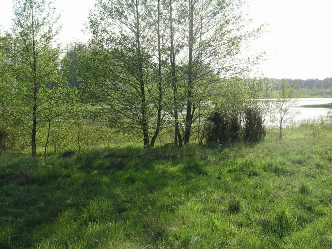 Maakond: Saaremaa Veekogu nimi: Kaarmise järv Pildistamise aeg: 26. mai 2005 Pildistaja: H. Timm Pildistamise koht: teadmata Asimuut: