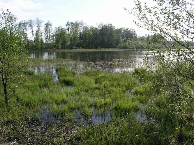 Maakond: Saaremaa Veekogu nimi: Kaarmise järv Pildistamise aeg: 26. mai 2005 Pildistaja: H. Timm Pildistamise koht: teadmata Asimuut: