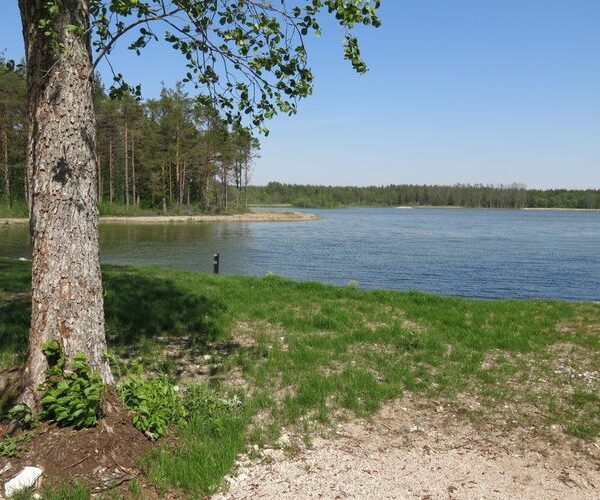 Maakond: Saaremaa Veekogu nimi: Kaarmise järv Pildistamise aeg: 23. mai 2014 Pildistaja: H. Timm Pildistamise koht: teadmata Asimuut: