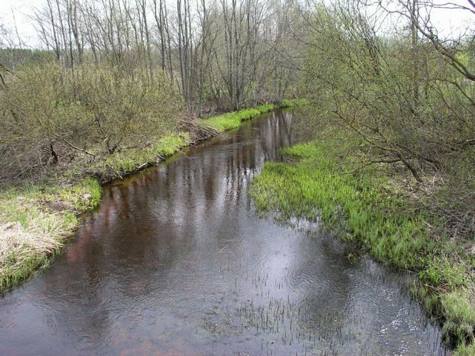 Maakond: Jõgevamaa Veekogu nimi: Kaave jõgi Pildistamise aeg: 7. mai 2007 Pildistaja: H. Timm Pildistamise koht: Kaatvere sillalt Asimuut: