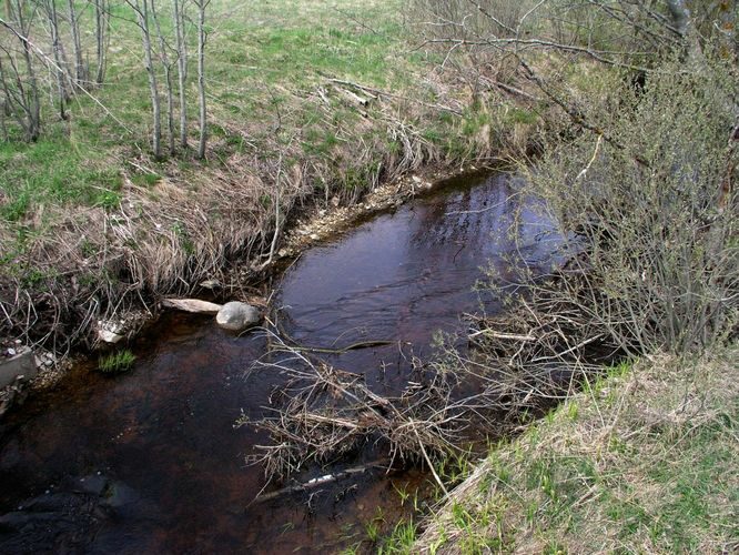 Maakond: Jõgevamaa Veekogu nimi: Kaave jõgi Pildistamise aeg: 7. mai 2007 Pildistaja: H. Timm Pildistamise koht: Kaave sillalt Asimuut: