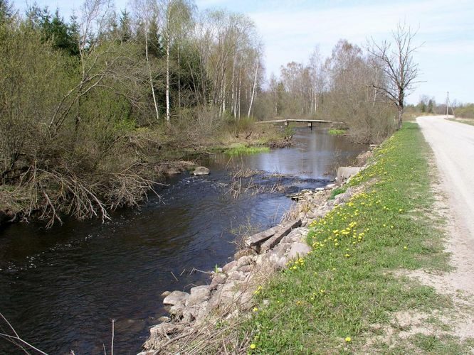 Maakond: Jõgevamaa Veekogu nimi: Kaave jõgi Pildistamise aeg: 7. mai 2007 Pildistaja: H. Timm Pildistamise koht: Trummi Asimuut: