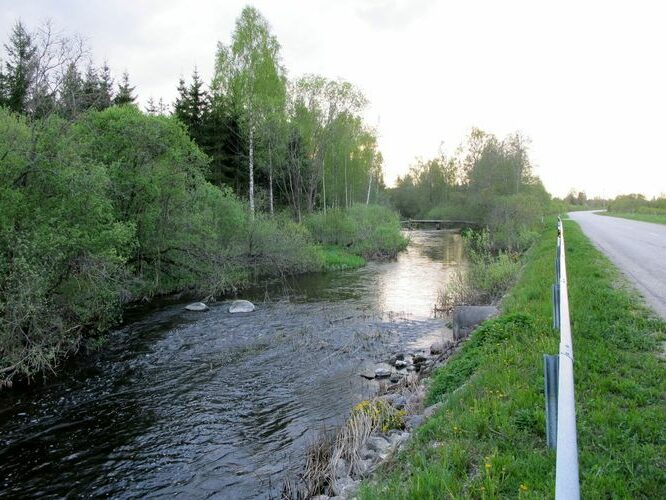 Maakond: Jõgevamaa Veekogu nimi: Kaave jõgi Pildistamise aeg: 15. mai 2010 Pildistaja: H. Timm Pildistamise koht: Trummi Asimuut: