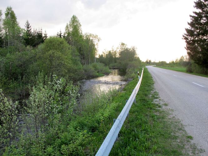 Maakond: Jõgevamaa Veekogu nimi: Kaave jõgi Pildistamise aeg: 15. mai 2010 Pildistaja: H. Timm Pildistamise koht: Trummi Asimuut: