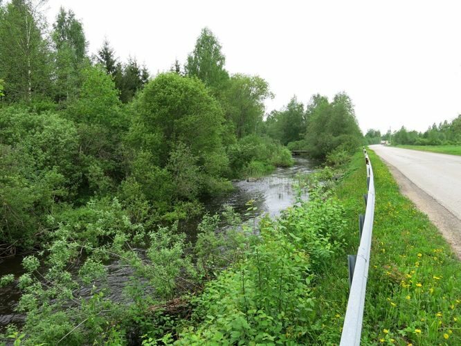 Maakond: Raplamaa Veekogu nimi: Kaave jõgi Pildistamise aeg: 22. mai 2013 Pildistaja: H. Timm Pildistamise koht: Trummi Asimuut: