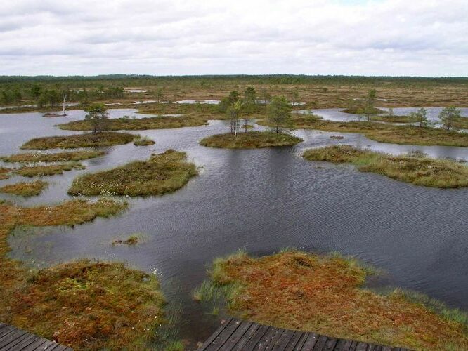 Maakond: Raplamaa Veekogu nimi: Keava raba laugas Pildistamise aeg: 19. mai 2004 Pildistaja: H. Timm Pildistamise koht: teadmata Asimuut: