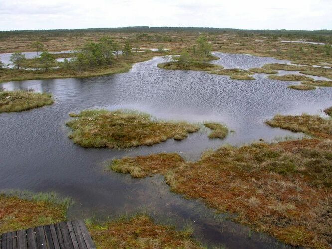 Maakond: Raplamaa Veekogu nimi: Keava raba laugas Pildistamise aeg: 19. mai 2004 Pildistaja: H. Timm Pildistamise koht: teadmata Asimuut: