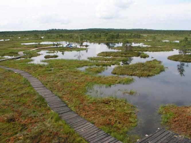 Maakond: Raplamaa Veekogu nimi: Keava raba laugas Pildistamise aeg: 19. mai 2004 Pildistaja: H. Timm Pildistamise koht: teadmata Asimuut: