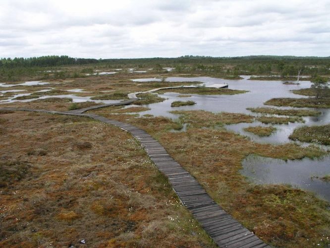 Maakond: Raplamaa Veekogu nimi: Keava raba laugas Pildistamise aeg: 19. mai 2004 Pildistaja: H. Timm Pildistamise koht: teadmata Asimuut: