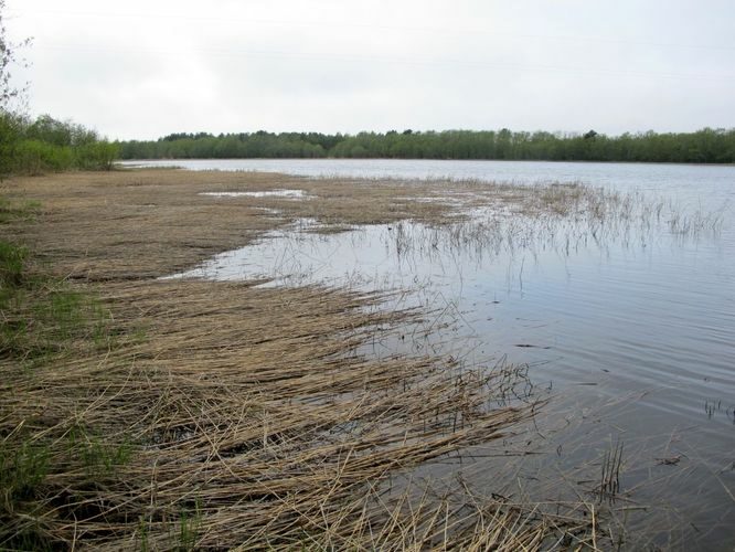 Maakond: Pärnumaa Veekogu nimi: Kahvatu laht Pildistamise aeg: 17. mai 2011 Pildistaja: H. Timm Pildistamise koht: teadmata Asimuut: