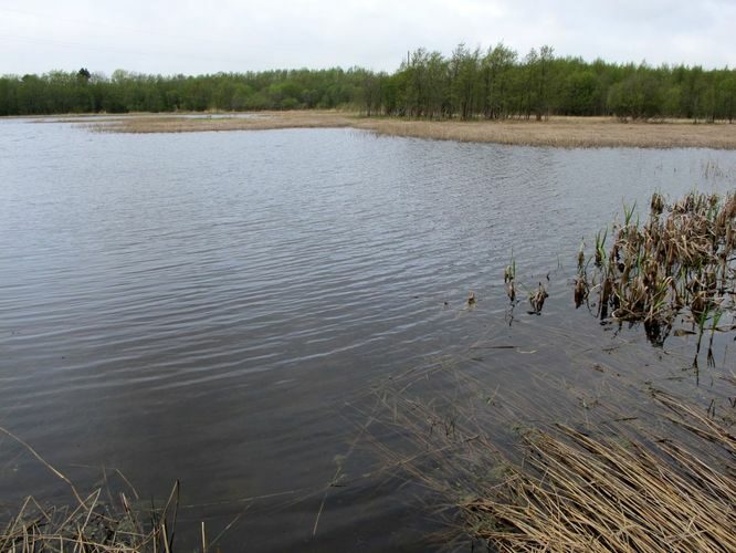 Maakond: Pärnumaa Veekogu nimi: Kahvatu laht Pildistamise aeg: 17. mai 2011 Pildistaja: H. Timm Pildistamise koht: teadmata Asimuut: