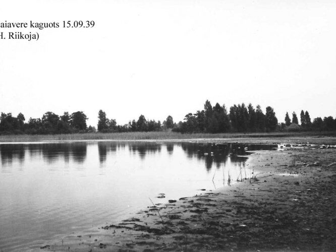 Maakond: Jõgevamaa Veekogu nimi: Kaiavere järv Pildistamise aeg: 15. september 1939 Pildistaja: H. Riikoja Pildistamise koht: SE ots Asimuut: E