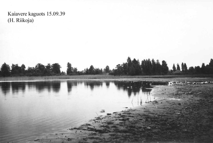 Maakond: Jõgevamaa Veekogu nimi: Kaiavere järv Pildistamise aeg: 15. september 1939 Pildistaja: H. Riikoja Pildistamise koht: SE ots Asimuut: E