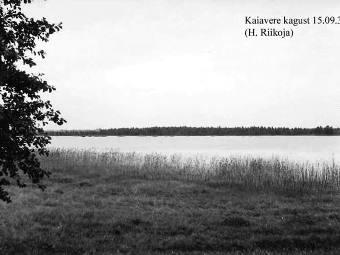 Maakond: Jõgevamaa Veekogu nimi: Kaiavere järv Pildistamise aeg: 15. september 1939 Pildistaja: H. Riikoja Pildistamise koht: SE otsast Asimuut: N