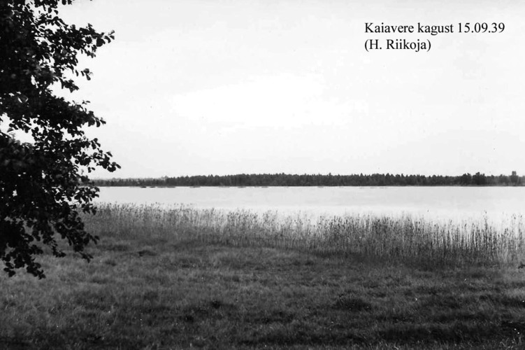 Maakond: Jõgevamaa Veekogu nimi: Kaiavere järv Pildistamise aeg: 15. september 1939 Pildistaja: H. Riikoja Pildistamise koht: SE otsast Asimuut: N