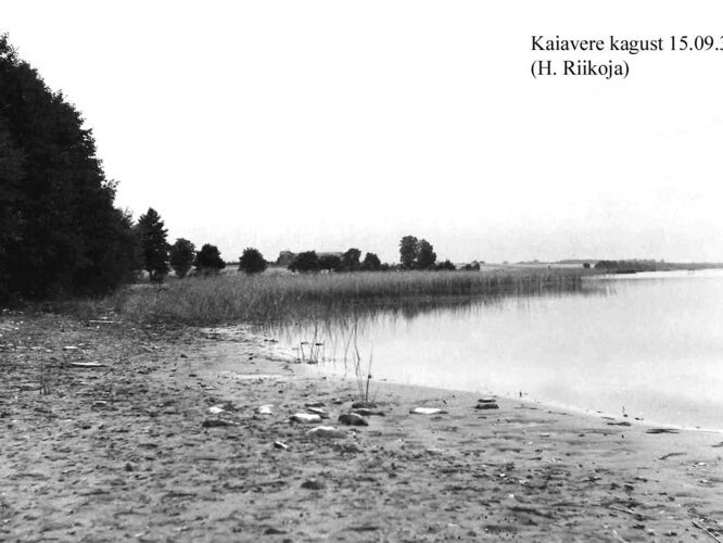 Maakond: Jõgevamaa Veekogu nimi: Kaiavere järv Pildistamise aeg: 15. september 1939 Pildistaja: H. Riikoja Pildistamise koht: SE otsast Asimuut: NW