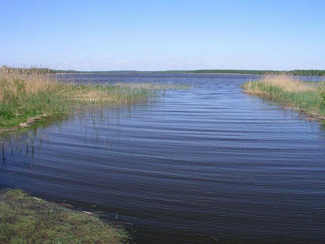 Maakond: Jõgevamaa Veekogu nimi: Kaiavere järv Pildistamise aeg: 24. mai 2007 Pildistaja: H. Timm Pildistamise koht: väljavoolu kohalt Asimuut: