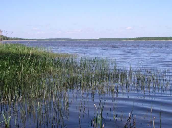 Maakond: Jõgevamaa Veekogu nimi: Kaiavere järv Pildistamise aeg: 24. mai 2007 Pildistaja: H. Timm Pildistamise koht: proovikoht Asimuut: