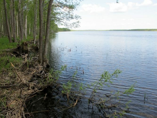 Maakond: Jõgevamaa Veekogu nimi: Kaiavere järv Pildistamise aeg: 20. mai 2011 Pildistaja: H. Timm Pildistamise koht: teadmata Asimuut: