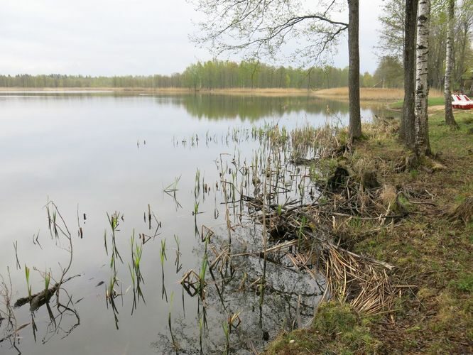 Maakond: Jõgevamaa Veekogu nimi: Kaiavere järv Pildistamise aeg: 8. mai 2014 Pildistaja: H. Timm Pildistamise koht: teadmata Asimuut: