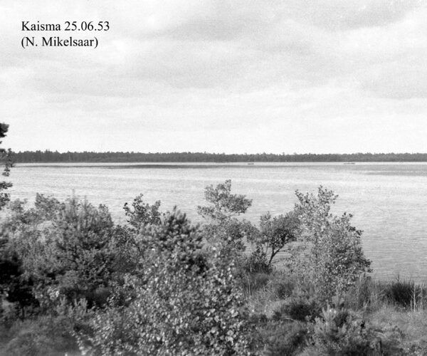 Maakond: Pärnumaa Veekogu nimi: Kaisma järv Pildistamise aeg: 25. juuni 1953 Pildistaja: N. Mikelsaar Pildistamise koht: teadmata Asimuut: