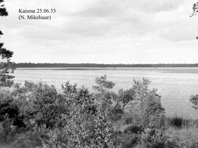 Maakond: Pärnumaa Veekogu nimi: Kaisma järv Pildistamise aeg: 25. juuni 1953 Pildistaja: N. Mikelsaar Pildistamise koht: teadmata Asimuut: