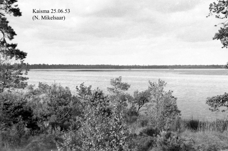 Maakond: Pärnumaa Veekogu nimi: Kaisma järv Pildistamise aeg: 25. juuni 1953 Pildistaja: N. Mikelsaar Pildistamise koht: teadmata Asimuut: