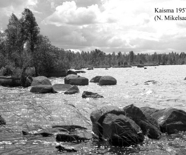 Maakond: Pärnumaa Veekogu nimi: Kaisma järv Pildistamise aeg: august 1957 Pildistaja: N. Mikelsaar Pildistamise koht: teadmata Asimuut: