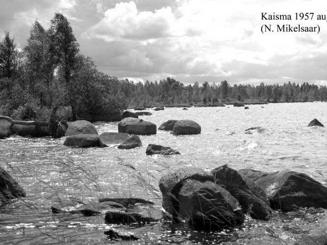 Maakond: Pärnumaa Veekogu nimi: Kaisma järv Pildistamise aeg: august 1957 Pildistaja: N. Mikelsaar Pildistamise koht: teadmata Asimuut: