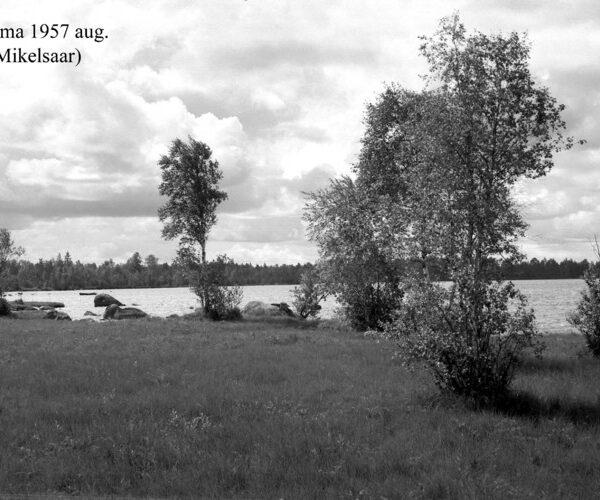 Maakond: Pärnumaa Veekogu nimi: Kaisma järv Pildistamise aeg: august 1957 Pildistaja: N. Mikelsaar Pildistamise koht: teadmata Asimuut: