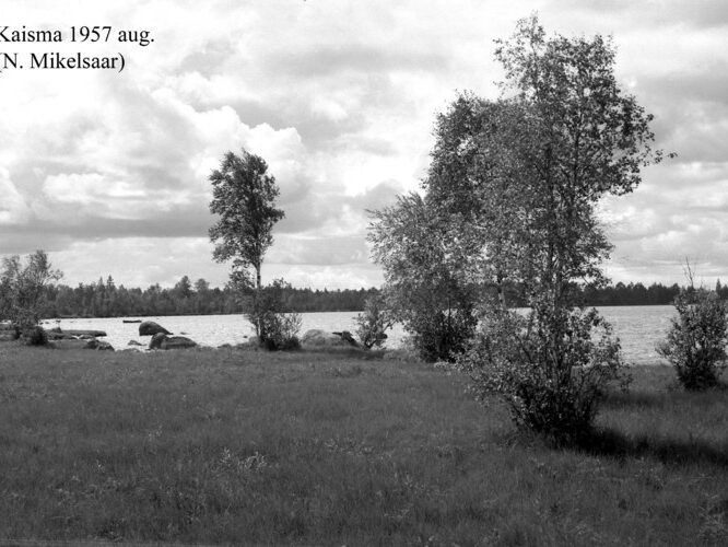 Maakond: Pärnumaa Veekogu nimi: Kaisma järv Pildistamise aeg: august 1957 Pildistaja: N. Mikelsaar Pildistamise koht: teadmata Asimuut: