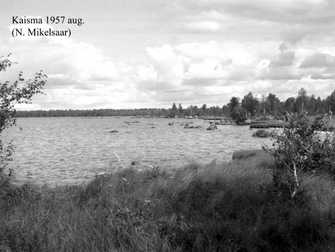 Maakond: Pärnumaa Veekogu nimi: Kaisma järv Pildistamise aeg: august 1957 Pildistaja: N. Mikelsaar Pildistamise koht: teadmata Asimuut: