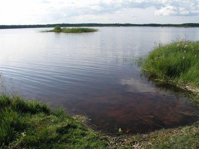 Maakond: Pärnumaa Veekogu nimi: Kaisma järv Pildistamise aeg: august 2005 Pildistaja: H. Timm Pildistamise koht: teadmata Asimuut: