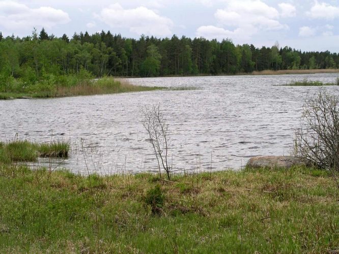 Maakond: Pärnumaa Veekogu nimi: Kaisma järv Pildistamise aeg: august 2005 Pildistaja: H. Timm Pildistamise koht: teadmata Asimuut: