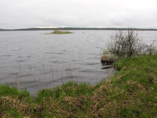 Maakond: Pärnumaa Veekogu nimi: Kaisma järv Pildistamise aeg: 17. mai 2012 Pildistaja: H. Timm Pildistamise koht: teadmata Asimuut: