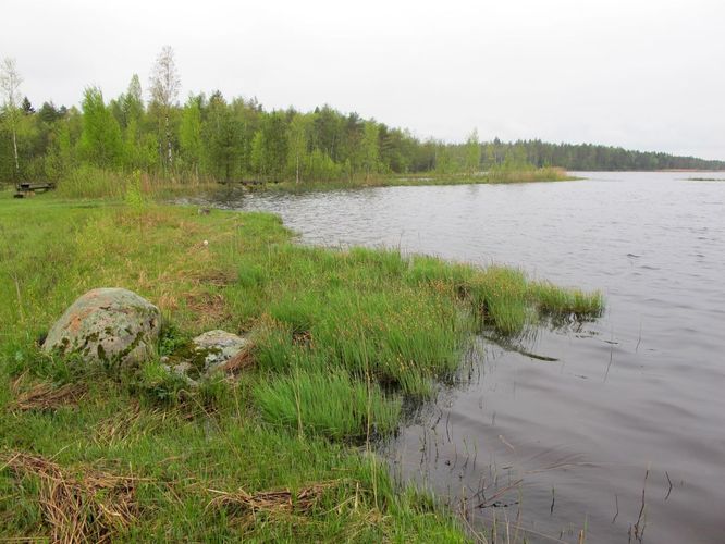 Maakond: Pärnumaa Veekogu nimi: Kaisma järv Pildistamise aeg: 17. mai 2012 Pildistaja: H. Timm Pildistamise koht: teadmata Asimuut: