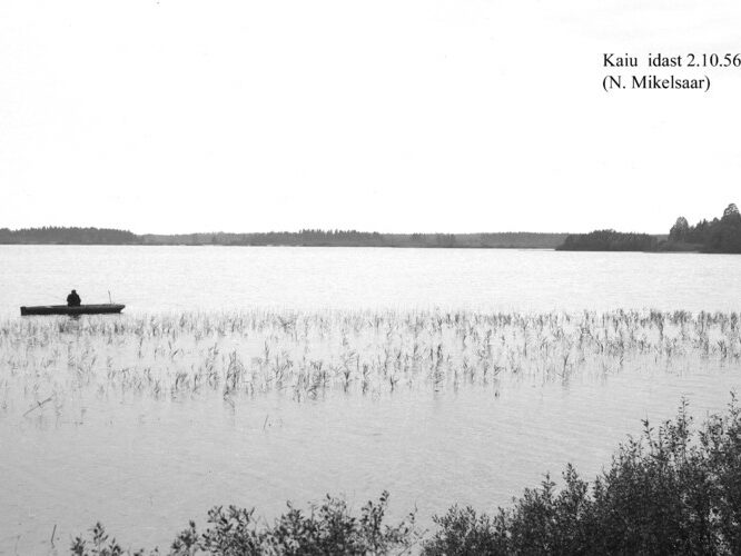 Maakond: Jõgevamaa Veekogu nimi: Kaiu järv Pildistamise aeg: 2. oktoober 1956 Pildistaja: N. Mikelsaar Pildistamise koht: E kaldalt Asimuut: