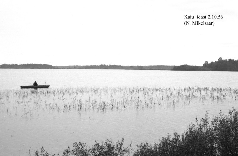 Maakond: Jõgevamaa Veekogu nimi: Kaiu järv Pildistamise aeg: 2. oktoober 1956 Pildistaja: N. Mikelsaar Pildistamise koht: E kaldalt Asimuut: