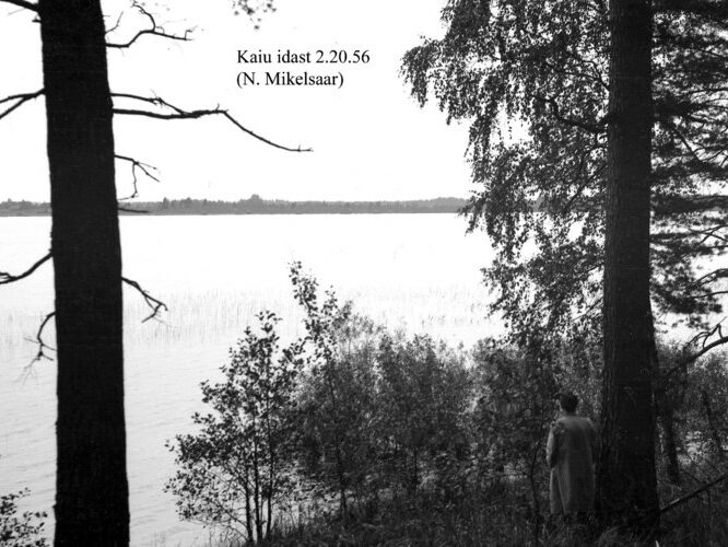 Maakond: Jõgevamaa Veekogu nimi: Kaiu järv Pildistamise aeg: 2. oktoober 1956 Pildistaja: N. Mikelsaar Pildistamise koht: E kaldalt Asimuut: