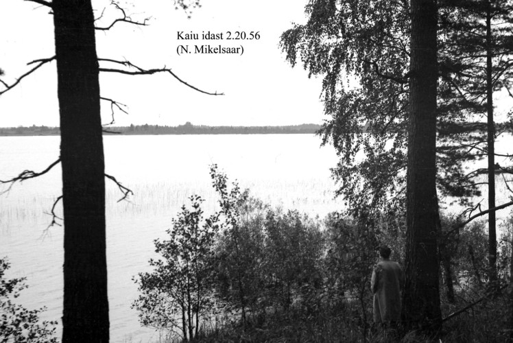 Maakond: Jõgevamaa Veekogu nimi: Kaiu järv Pildistamise aeg: 2. oktoober 1956 Pildistaja: N. Mikelsaar Pildistamise koht: E kaldalt Asimuut: