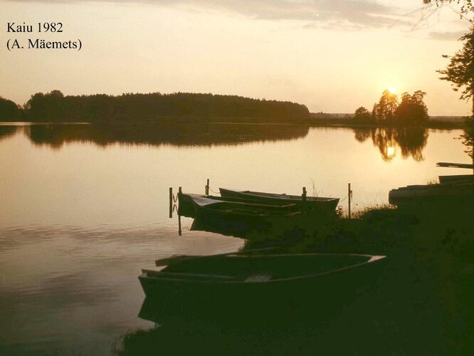 Maakond: Jõgevamaa Veekogu nimi: Kaiu järv Pildistamise aeg: 1982 Pildistaja: A. Mäemets Pildistamise koht: teadmata Asimuut: