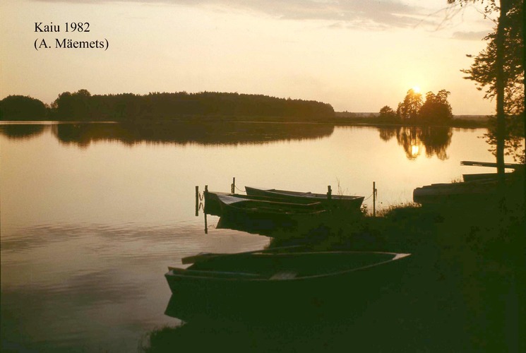 Maakond: Jõgevamaa Veekogu nimi: Kaiu järv Pildistamise aeg: 1982 Pildistaja: A. Mäemets Pildistamise koht: teadmata Asimuut: