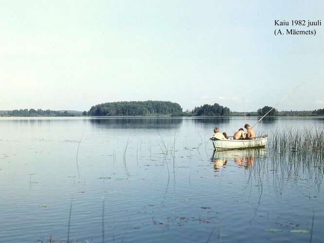 Maakond: Jõgevamaa Veekogu nimi: Kaiu järv Pildistamise aeg: juuli 1982 Pildistaja: A. Mäemets Pildistamise koht: teadmata Asimuut: