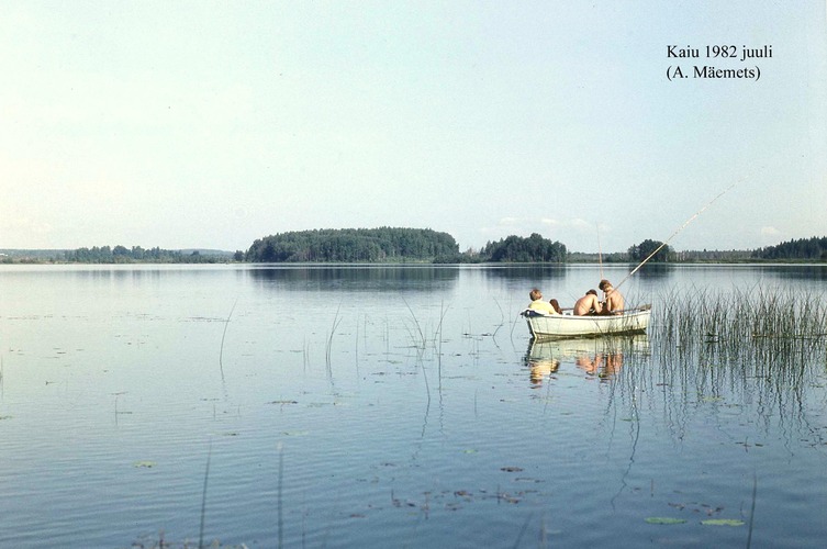 Maakond: Jõgevamaa Veekogu nimi: Kaiu järv Pildistamise aeg: juuli 1982 Pildistaja: A. Mäemets Pildistamise koht: teadmata Asimuut: