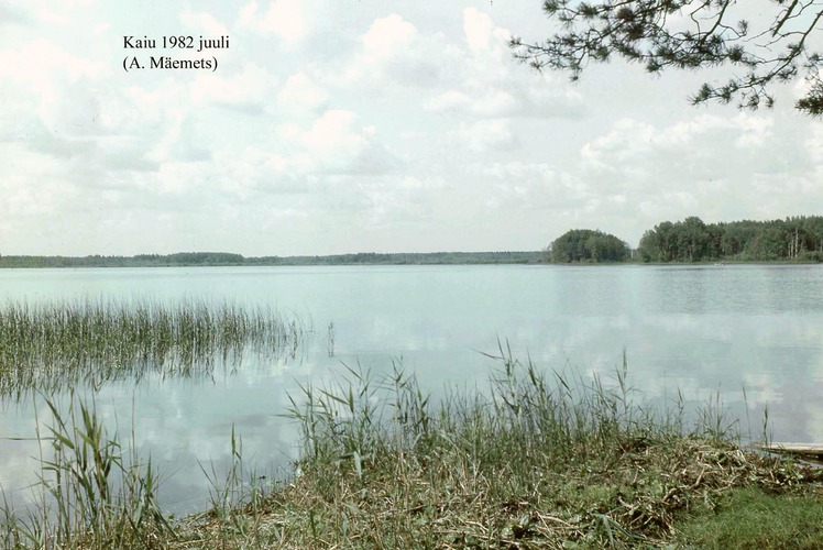 Maakond: Jõgevamaa Veekogu nimi: Kaiu järv Pildistamise aeg: juuli 1982 Pildistaja: A. Mäemets Pildistamise koht: teadmata Asimuut: