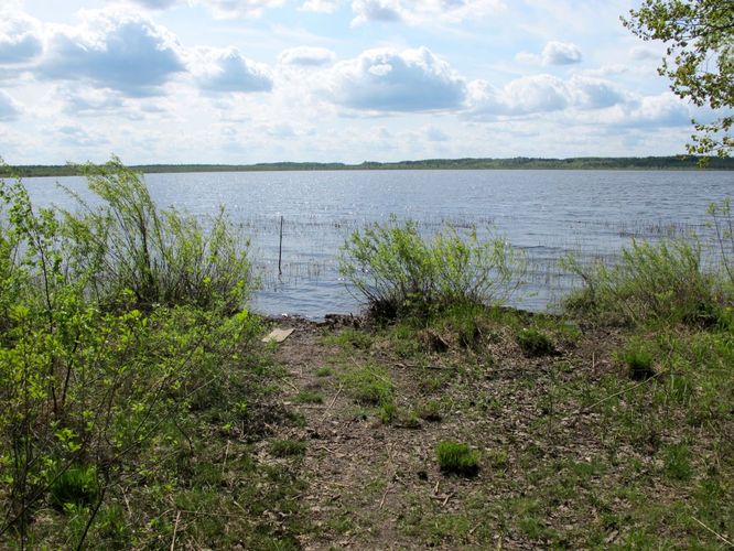 Maakond: Jõgevamaa Veekogu nimi: Kaiu järv Pildistamise aeg: 20. mai 2011 Pildistaja: H. Timm Pildistamise koht: teadmata Asimuut: