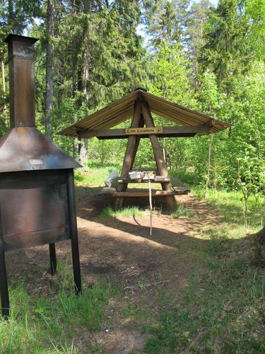 Maakond: Jõgevamaa Veekogu nimi: Kaiu järv Pildistamise aeg: 20. mai 2011 Pildistaja: H. Timm Pildistamise koht: teadmata Asimuut: