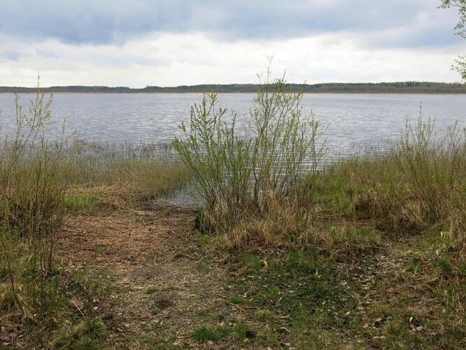 Maakond: Jõgevamaa Veekogu nimi: Kaiu järv Pildistamise aeg: 8. mai 2014 Pildistaja: H. Timm Pildistamise koht: teadmata Asimuut: