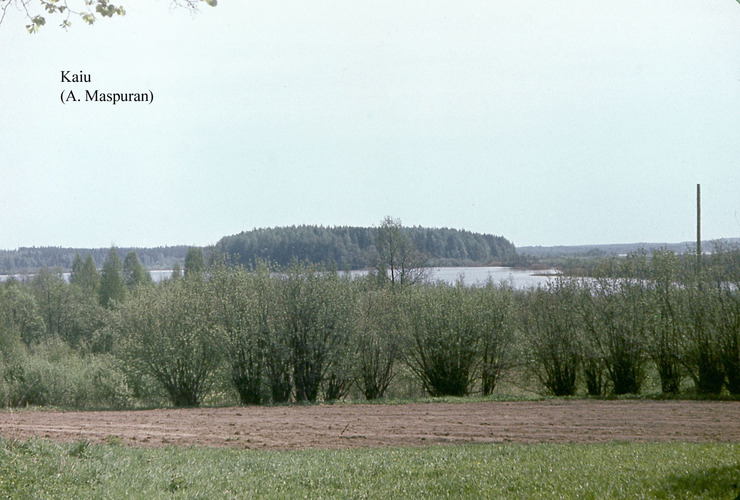 Maakond: Jõgevamaa Veekogu nimi: Kaiu järv Pildistamise aeg: teadmata Pildistaja: A. Maspuran Pildistamise koht: teadmata Asimuut: