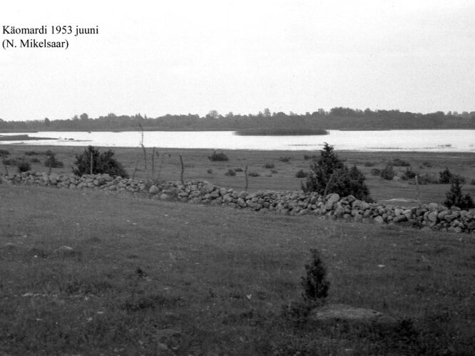 Maakond: Pärnumaa Veekogu nimi: Käomardi laht Pildistamise aeg: juuni 1953 Pildistaja: N. Mikelsaar Pildistamise koht: teadmata Asimuut: